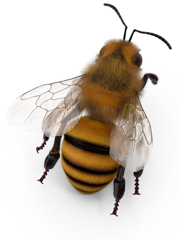 beehive-abejar-01